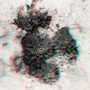 3D-Fotografie in Rot/Cyan - Überlebenskünstler