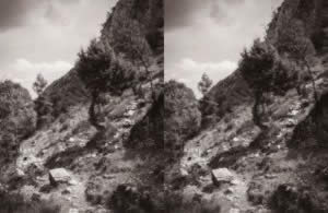 Stereofotografie Side-by-Side - Mit dem Wind